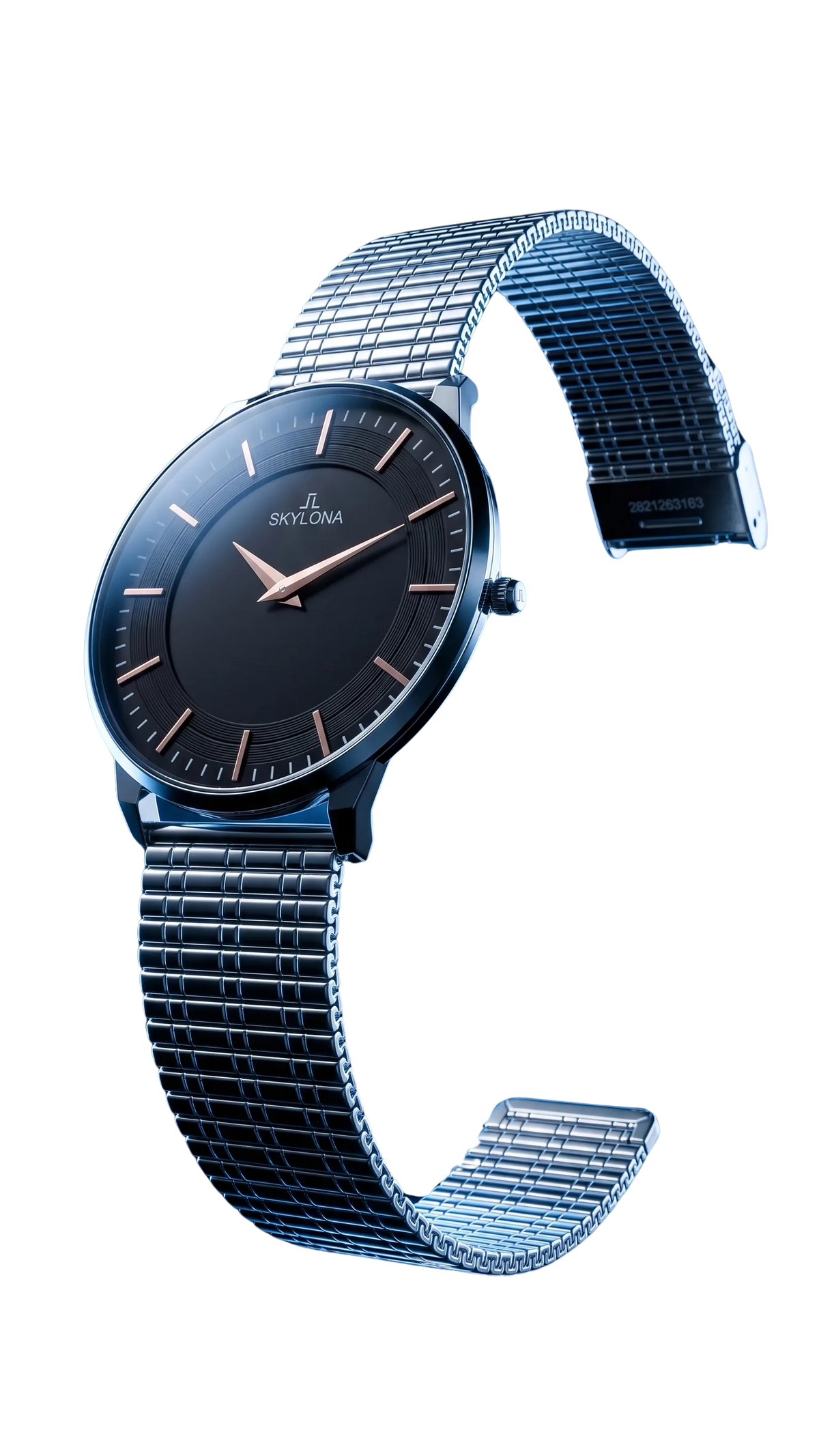 The Meridian Timepiece